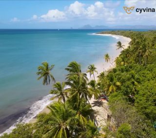 Khí hậu Grenada tạo điều kiện thuận lợi cho thảm thực vật phát triển