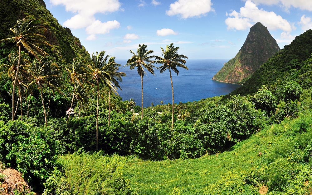 Đầu Tư Nhận Quốc Tịch Saint Lucia