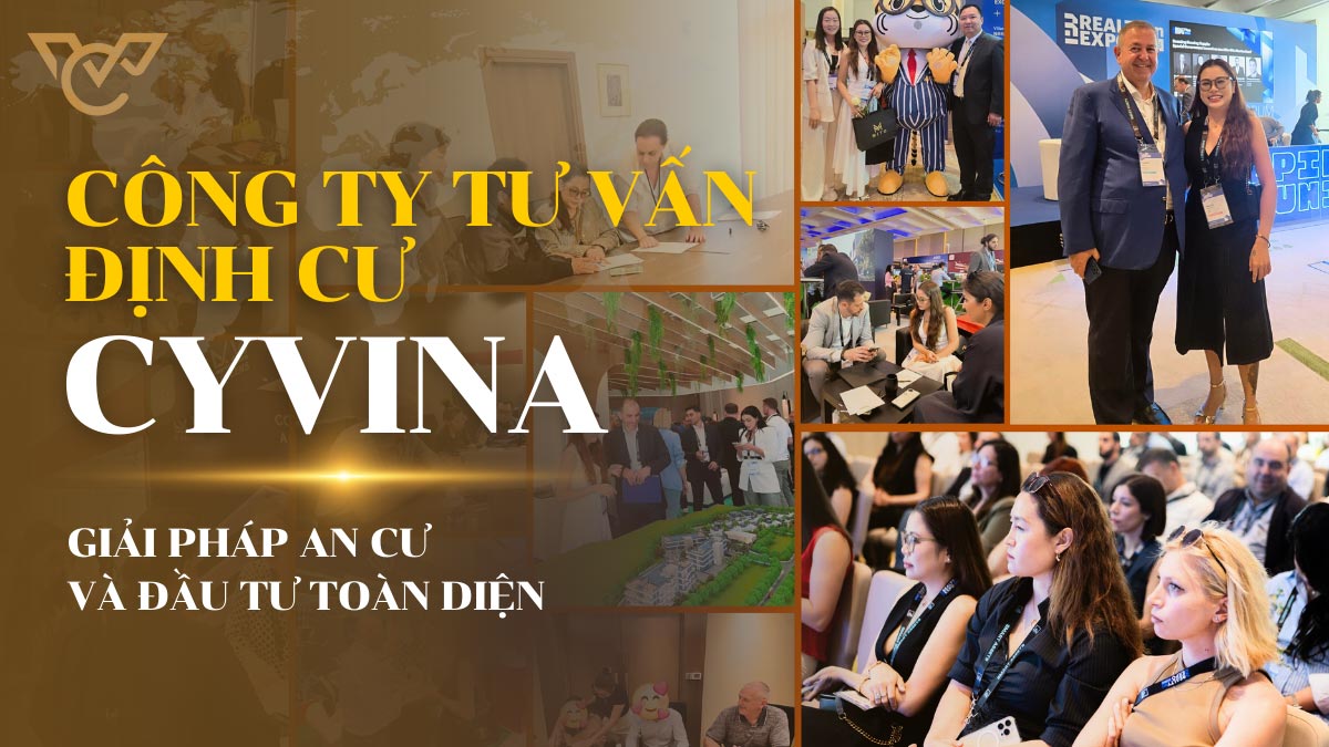 giới thiệu về công ty định cư Cyvina