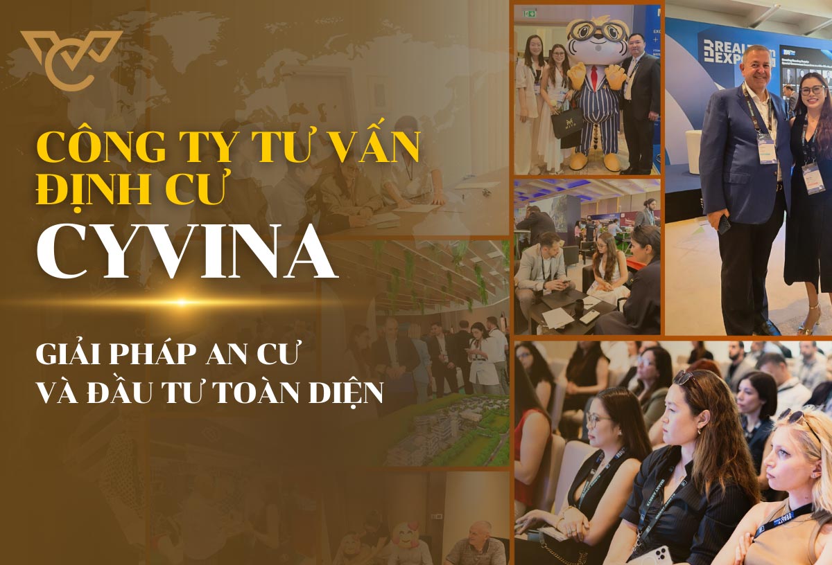 giới thiệu về công ty định cư Cyvina